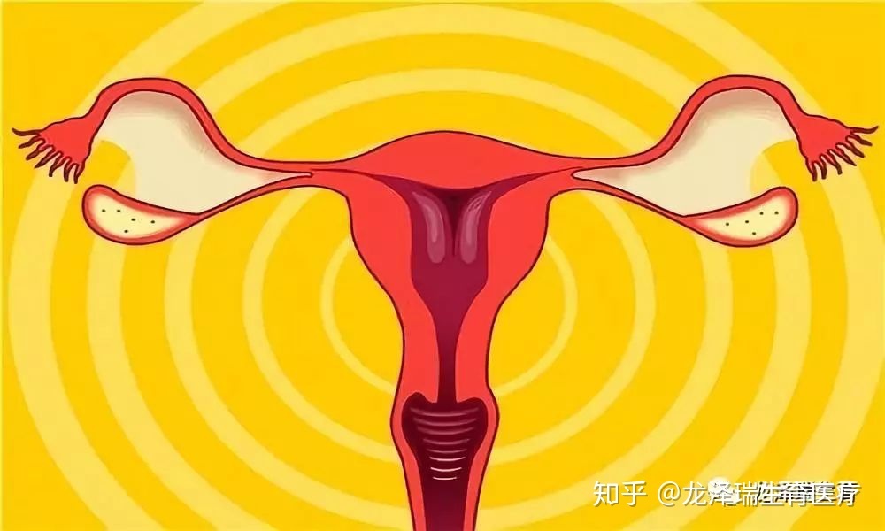 国内首个三代供卵试管婴儿产品获批上市，辅助生殖行业将迎来哪些变化？
