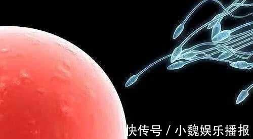 国内首个三代供卵试管婴儿产品获批上市，辅助生殖行业将迎来哪些变化？