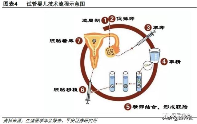 借精试管婴儿热门话题三问三答