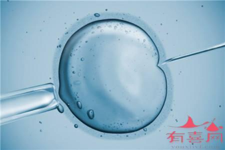 赠卵试管婴儿移植囊胚4BB成功率