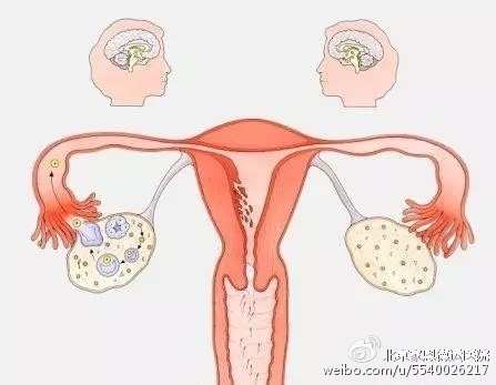 做供卵试管婴儿可以有人陪吗-做供卵试管婴儿需要有人照顾吗