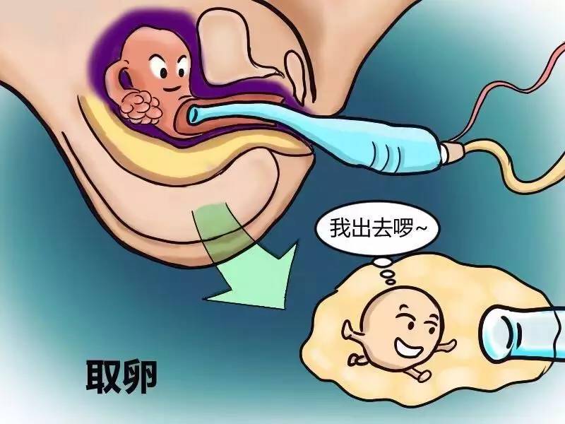 第一代供卵做试管婴儿和第二代供卵做试管婴儿的区别