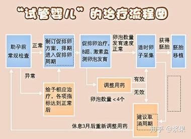 踏上供卵做试管婴儿之路，到期待宝宝成功降临的那一天｜供卵做试管婴儿｜生育｜医学