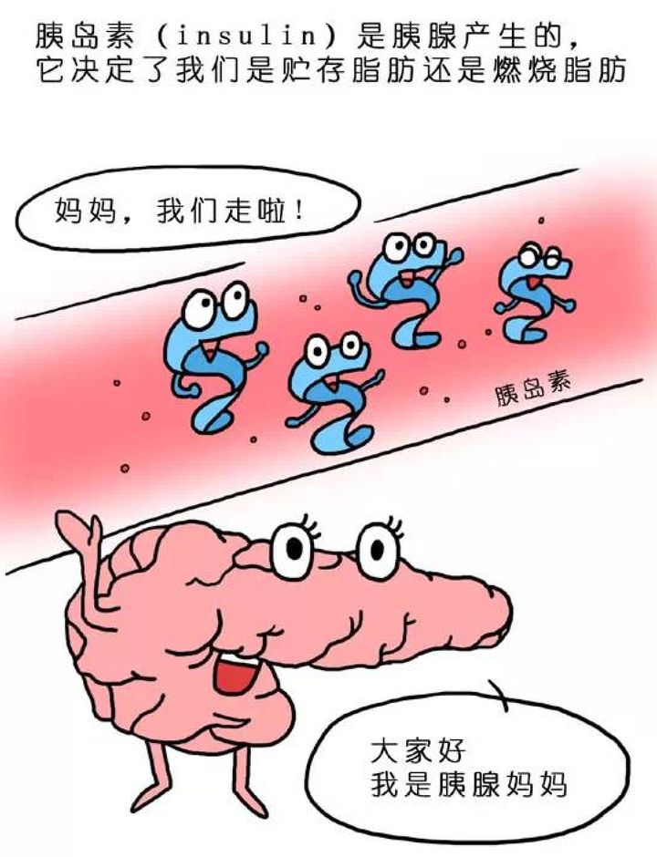 它诞生了!厦门省妇幼保健院是三代供卵试管婴儿第一例!