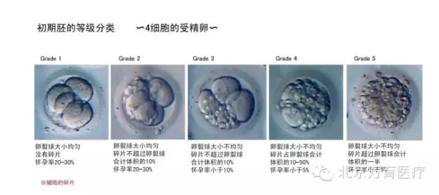 借卵做供卵试管三代应该吃什么？借卵做试管期间服用的叶酸是不是越多越好？