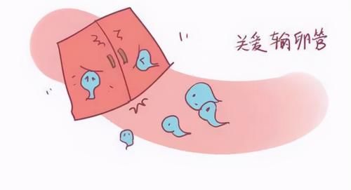 借卵做供卵试管三代应该吃什么？借卵做试管期间服用的叶酸是不是越多越好？
