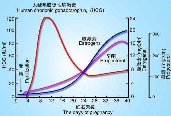 上海哪家医院做借卵供卵代生自怀最权威,第三代借卵做试管医院的技术是否成熟？