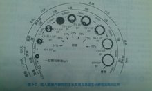 山东省生殖医院借卵做试管公立不用等多少钱