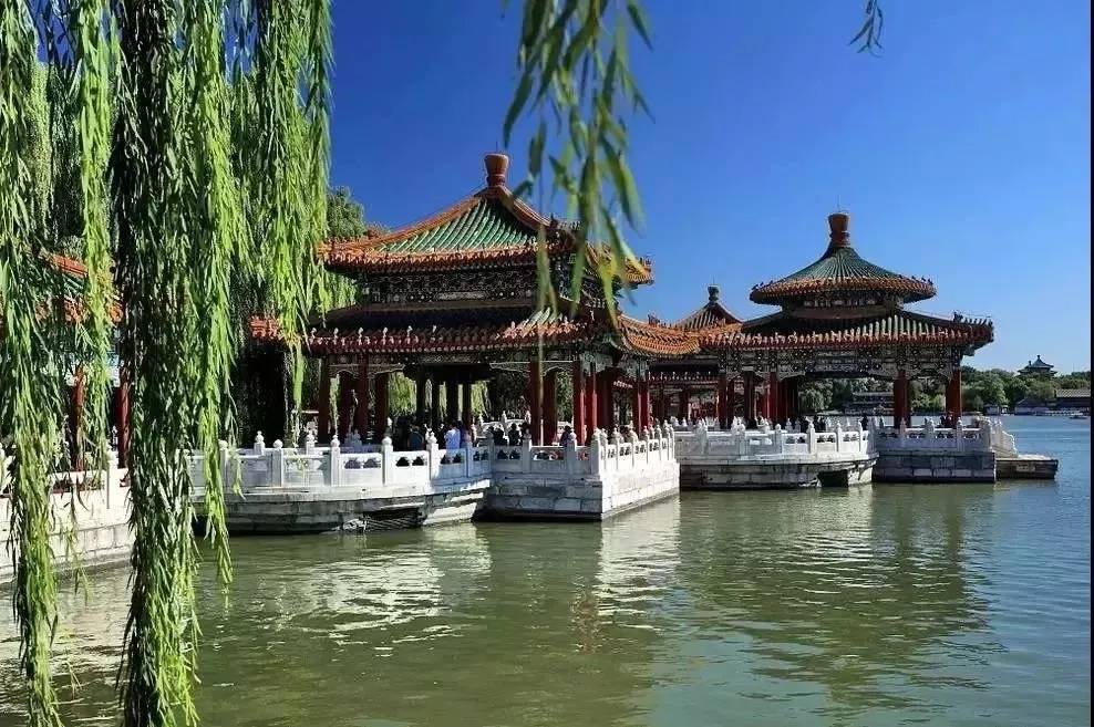 厦门借卵试管哪个医院成功率最高