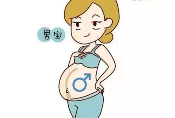 三代赠卵试管费用明细厦门