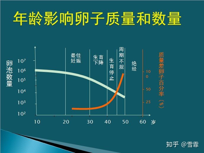 胚胎移植和赠卵试管婴儿哪个成功率高