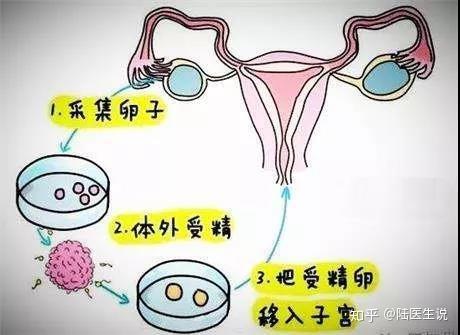 厦门市靠谱的三代试管代怀供卵自怀机构(厦门妇保做试管多少钱一次)