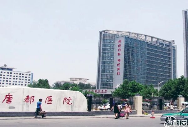 试管卵裂缓慢怎么办