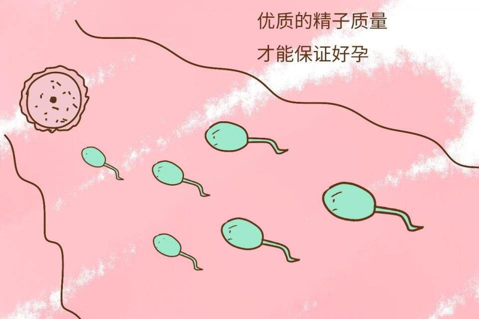 鲜胚移植后并非不能吃香蕉,合理食用可助着床