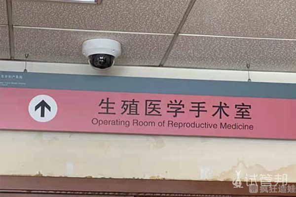医院借卵试管代怀推荐,移植前如何调养子宫