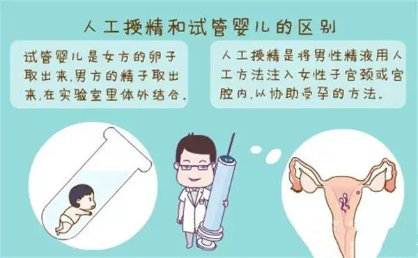 国内代怀机构可用鲜胚