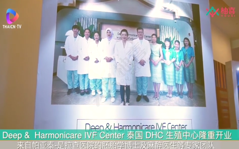 为什么给费用试管代怀中取出的卵泡竟然是空的