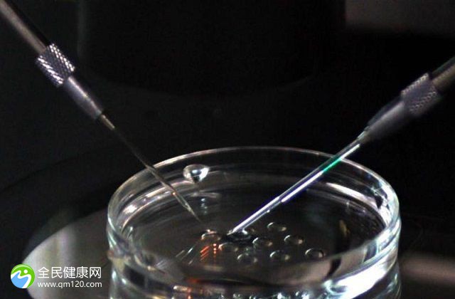 女性黄体功能不足会有哪些影响（借卵试管代