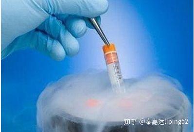 代怀孕产子的技术