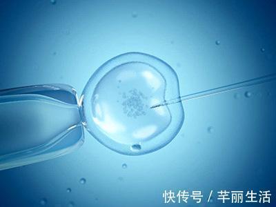 代怀价钱包男孩包怀孕+供卵试管公司机构怀孕率高吗