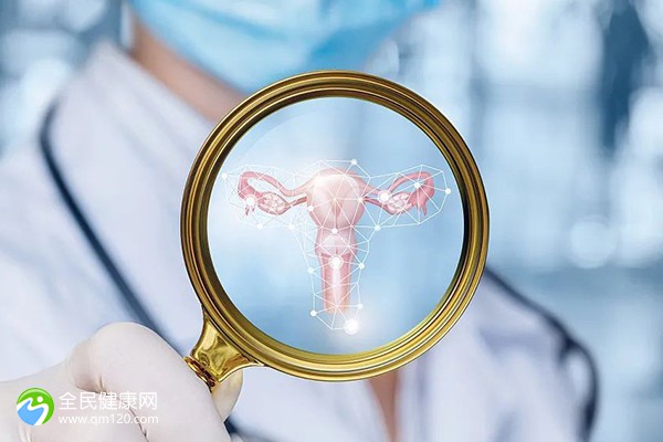 2024年厦门市市供卵代怀流程婴儿成功率