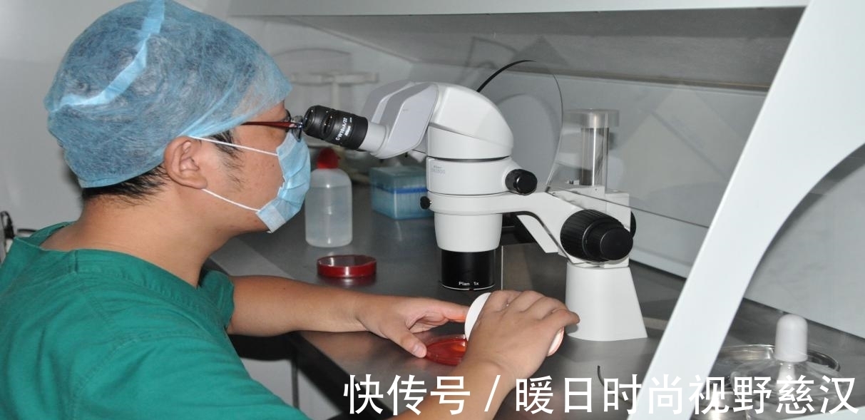 畸形精子性别优选-厦门市CCRH的独家秘笈